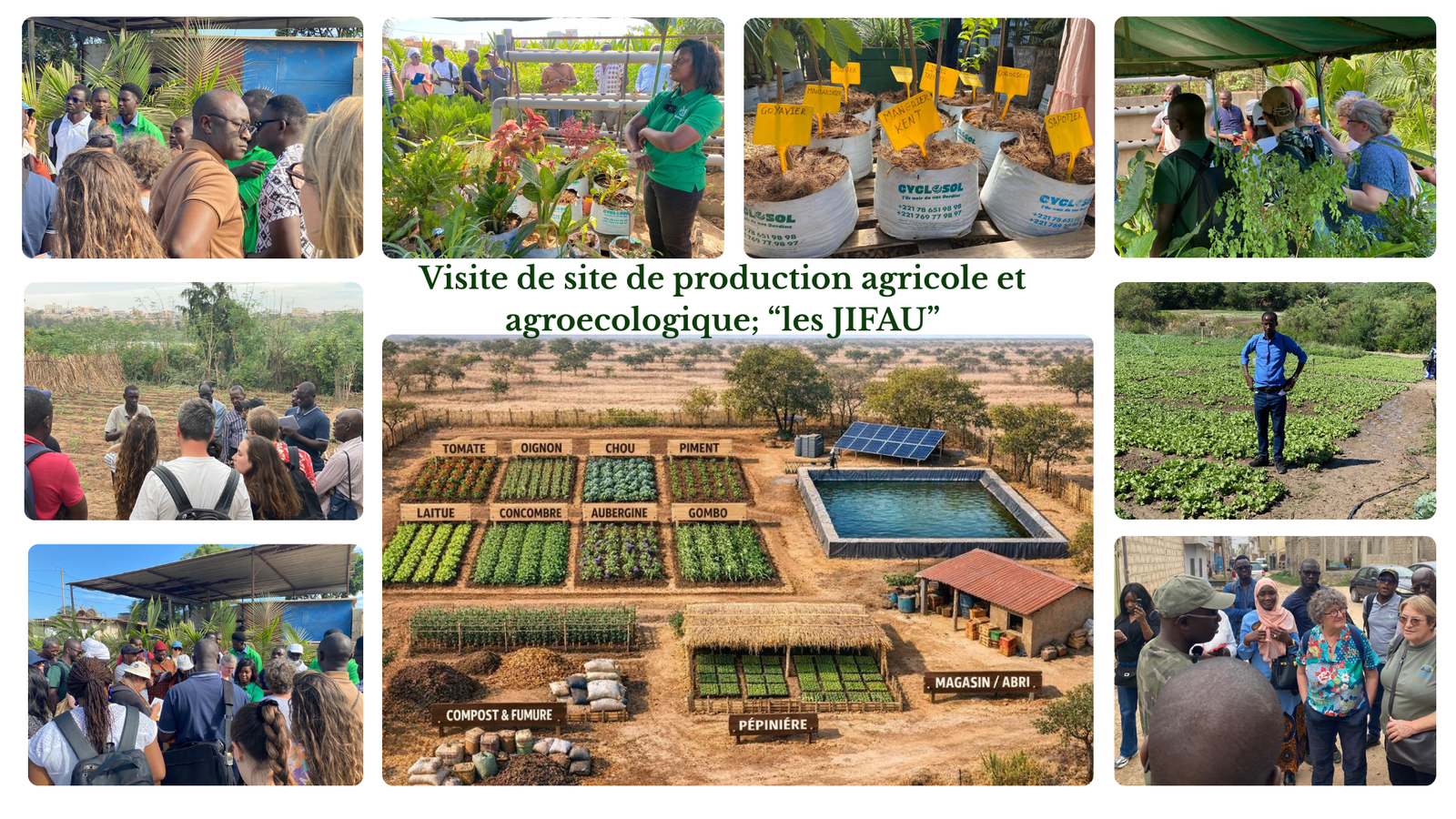 Agro-transformation & valeur ajoutée